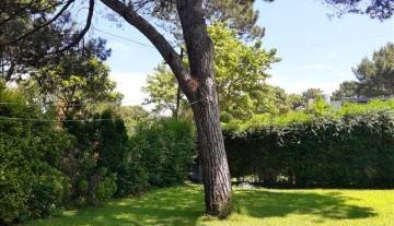 large-1636058408-IMG_20211030_122828942 640x480.jpg